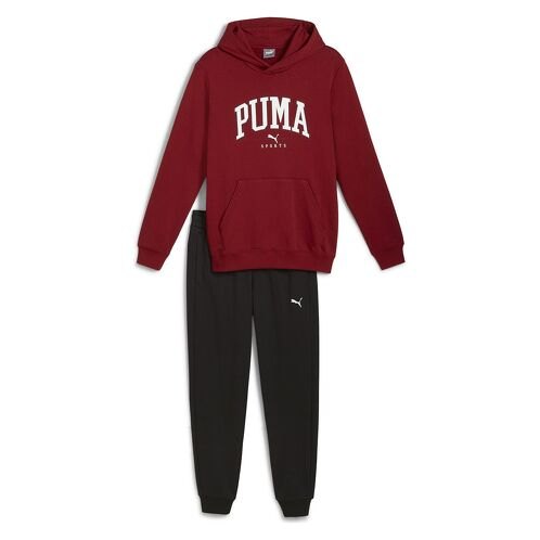 TRENING PUMA SQUAD HOODED SUIT