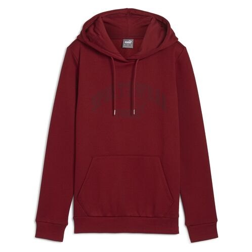 HANORAC PUMA ESS+ LOGO LAB HOODIE FL